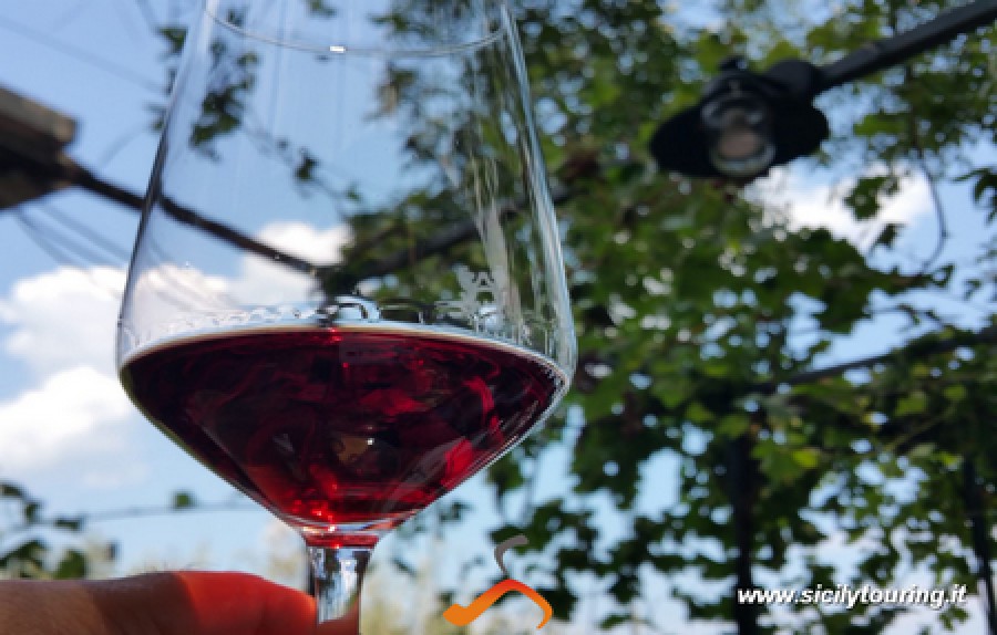 Every day – Wine tasting &amp; brunch included